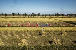 Korea Północna - Noor Images