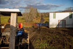 Świąteczne choinki w drodze do klientów - Redux