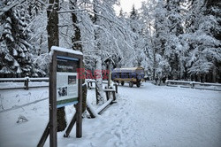 Polskie Tatry Albin Marciniak