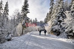 Polskie Tatry Albin Marciniak