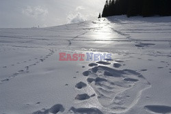 Polskie Tatry Albin Marciniak