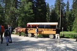 Polskie Tatry Albin Marciniak