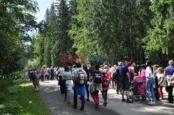 Polskie Tatry Albin Marciniak