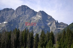 Polskie Tatry Albin Marciniak