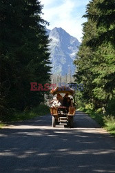 Polskie Tatry Albin Marciniak