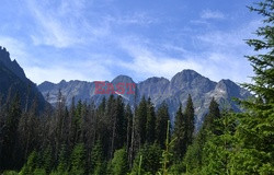 Polskie Tatry Albin Marciniak