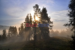 Pieninski Park Narodowy Albin Marciniak