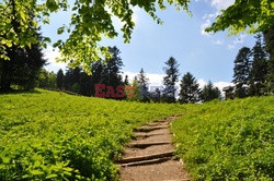 Pieninski Park Narodowy Albin Marciniak