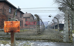 73. rocznica wyzwolenia obozu koncentracyjnego Auschwitz