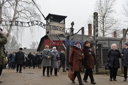 73. rocznica wyzwolenia obozu koncentracyjnego Auschwitz