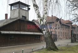 73. rocznica wyzwolenia obozu koncentracyjnego Auschwitz