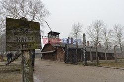 73. rocznica wyzwolenia obozu koncentracyjnego Auschwitz