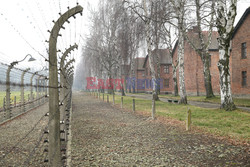 73. rocznica wyzwolenia obozu koncentracyjnego Auschwitz