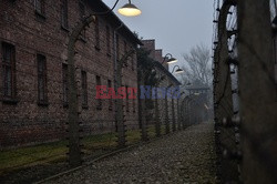 73. rocznica wyzwolenia obozu koncentracyjnego Auschwitz