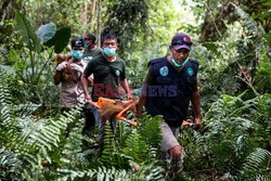 Ochrona orangutanów na Sumatrze - Eyevine