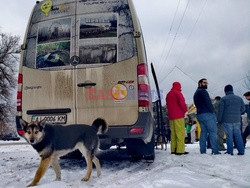 Zwierzęta z Czarnobyla - Cover Images