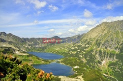 Polskie Tatry Albin Marciniak