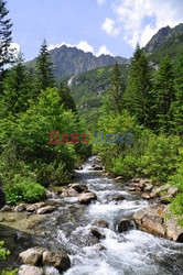 Polskie Tatry Albin Marciniak