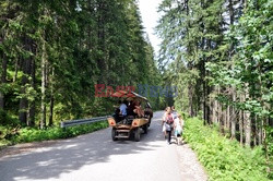 Polskie Tatry Albin Marciniak