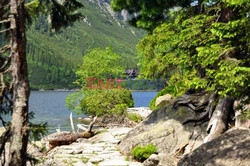 Polskie Tatry Albin Marciniak