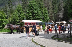 Polskie Tatry Albin Marciniak