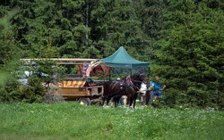 Polskie Tatry Albin Marciniak