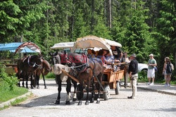 Polskie Tatry Albin Marciniak