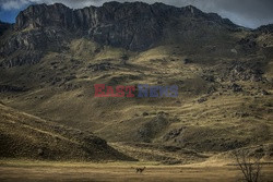 Chile - Patagonia - NYT