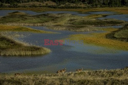 Chile - Patagonia - NYT