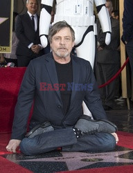 Mark Hamill otrzymał gwiazdę na Bulwarze Sławy