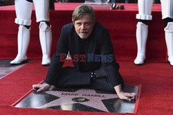 Mark Hamill otrzymał gwiazdę na Bulwarze Sławy