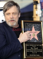 Mark Hamill otrzymał gwiazdę na Bulwarze Sławy