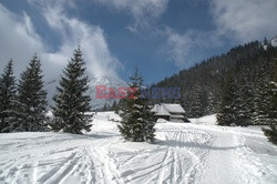 Polskie Tatry Albin Marciniak