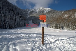 Polskie Tatry Albin Marciniak