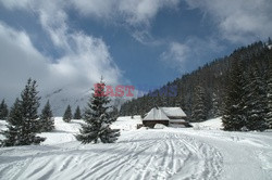 Polskie Tatry Albin Marciniak