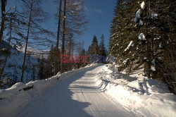 Polskie Tatry Albin Marciniak