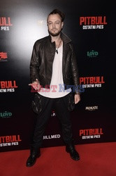 Pitbull. Ostatni pies - premiera filmu