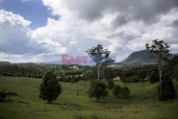 Medyczna marihuana w Australii - Vu Images