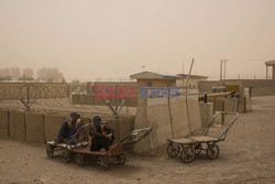 Afganistan - Nimroz - Vu Images