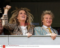 Rod Stewart i Penny Lancaster na wyścigach konnych w Cheltenham