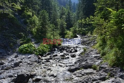 Polskie Tatry Albin Marciniak