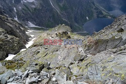 Polskie Tatry Albin Marciniak