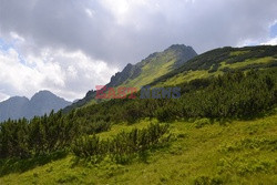 Polskie Tatry Albin Marciniak