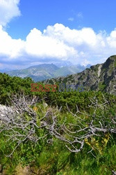 Polskie Tatry Albin Marciniak