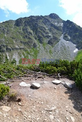 Polskie Tatry Albin Marciniak