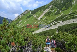 Polskie Tatry Albin Marciniak