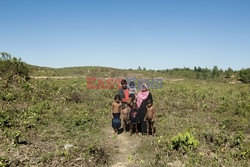 Bangladesz - obóz dla ludu Rohingya - Vu Images