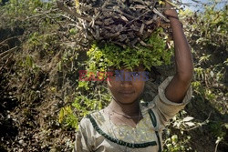 Bangladesz - obóz dla ludu Rohingya - Vu Images