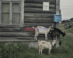 Rosja - Wyspy Sołowieckie - Vu Images