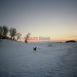 Rosja - Wyspy Sołowieckie - Vu Images